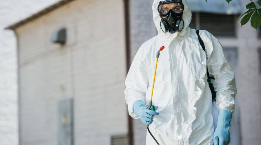 Professional termite inspection services in Marilyn Ann - Termite Inspection Marilyn Ann