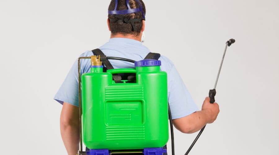 Why choose Termite Inspection Marilyn Ann for termite inspection in Marilyn Ann